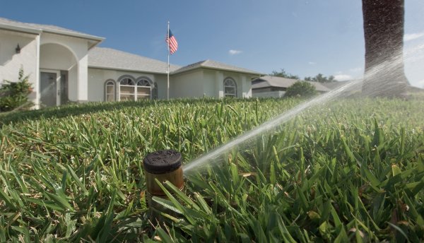Most Floridians use double the amount of water the lawn actually needs to stay healthy.